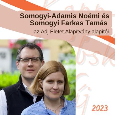 Kopp-Skrabski díj, ránk is szavazhatsz