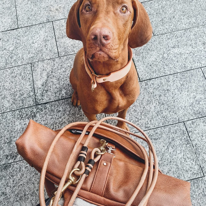 Zwei-bags MR180 hátitáska, szín: cognac