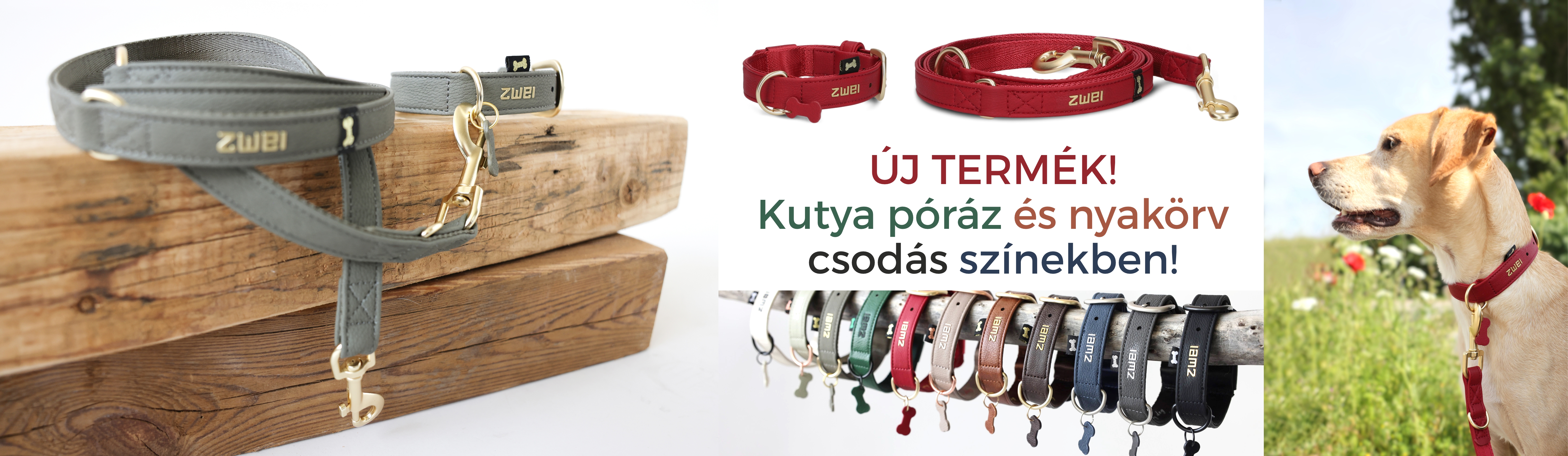 kutya jó